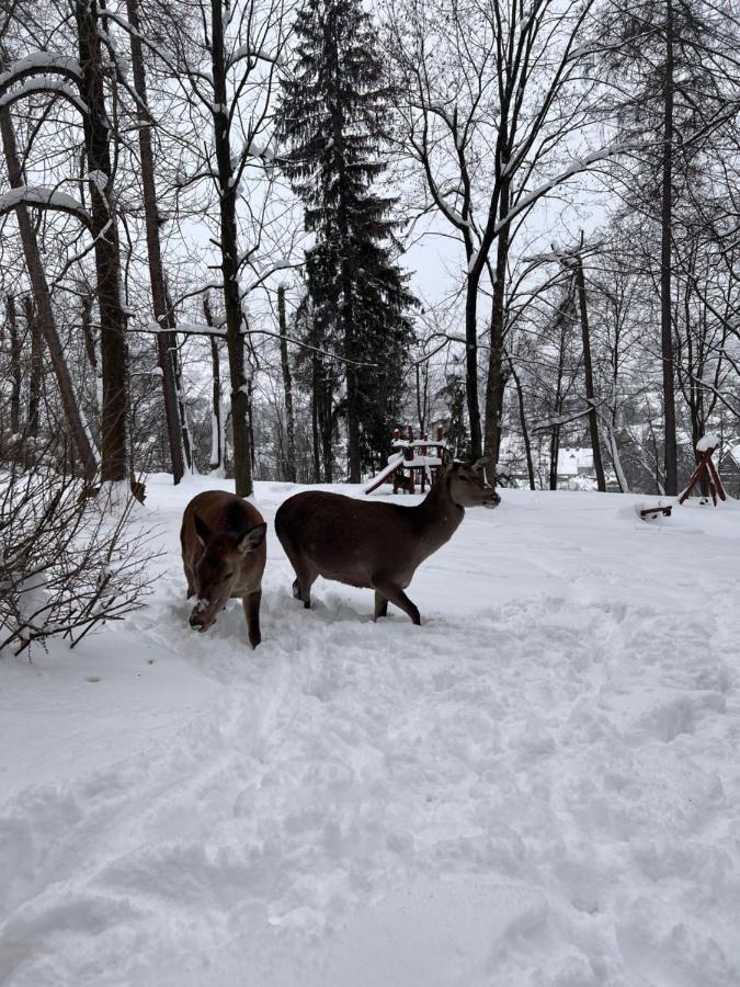 Nauczycielskie Centrum Zakopane Luaran gambar