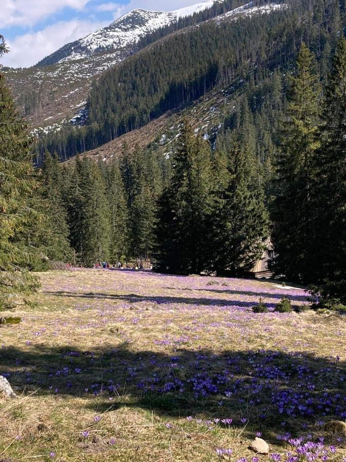Nauczycielskie Centrum Zakopane Luaran gambar